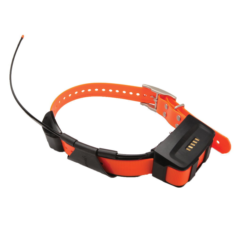 Garmin Alpha 100 TT15 dog collar with orange strap and black module