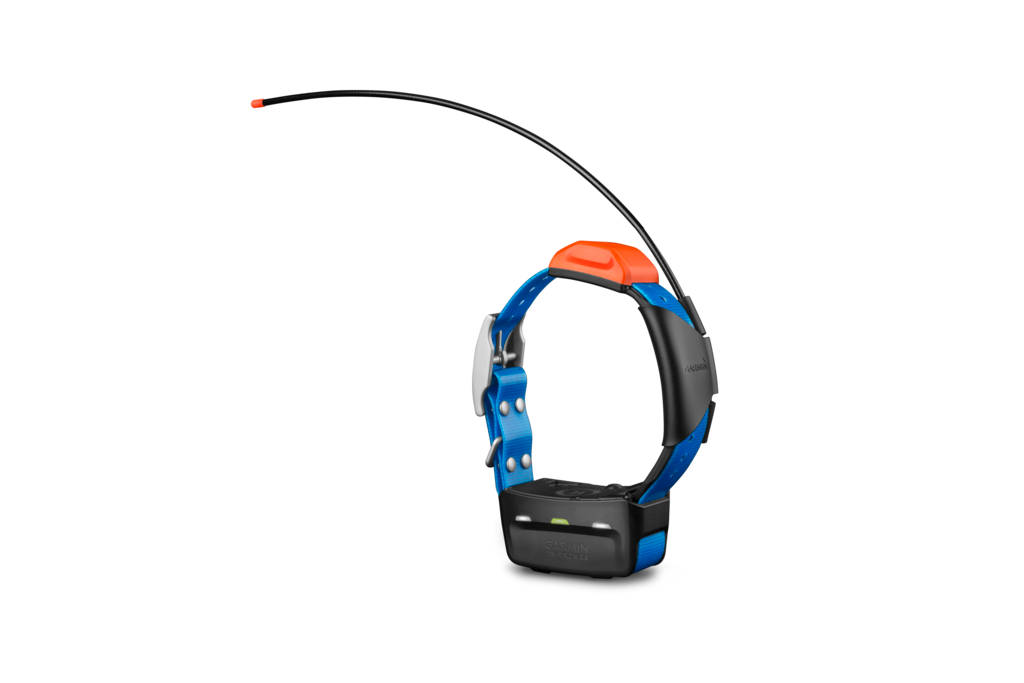 Garmin T5 Mini dog tracking collar, blue strap and orange top module