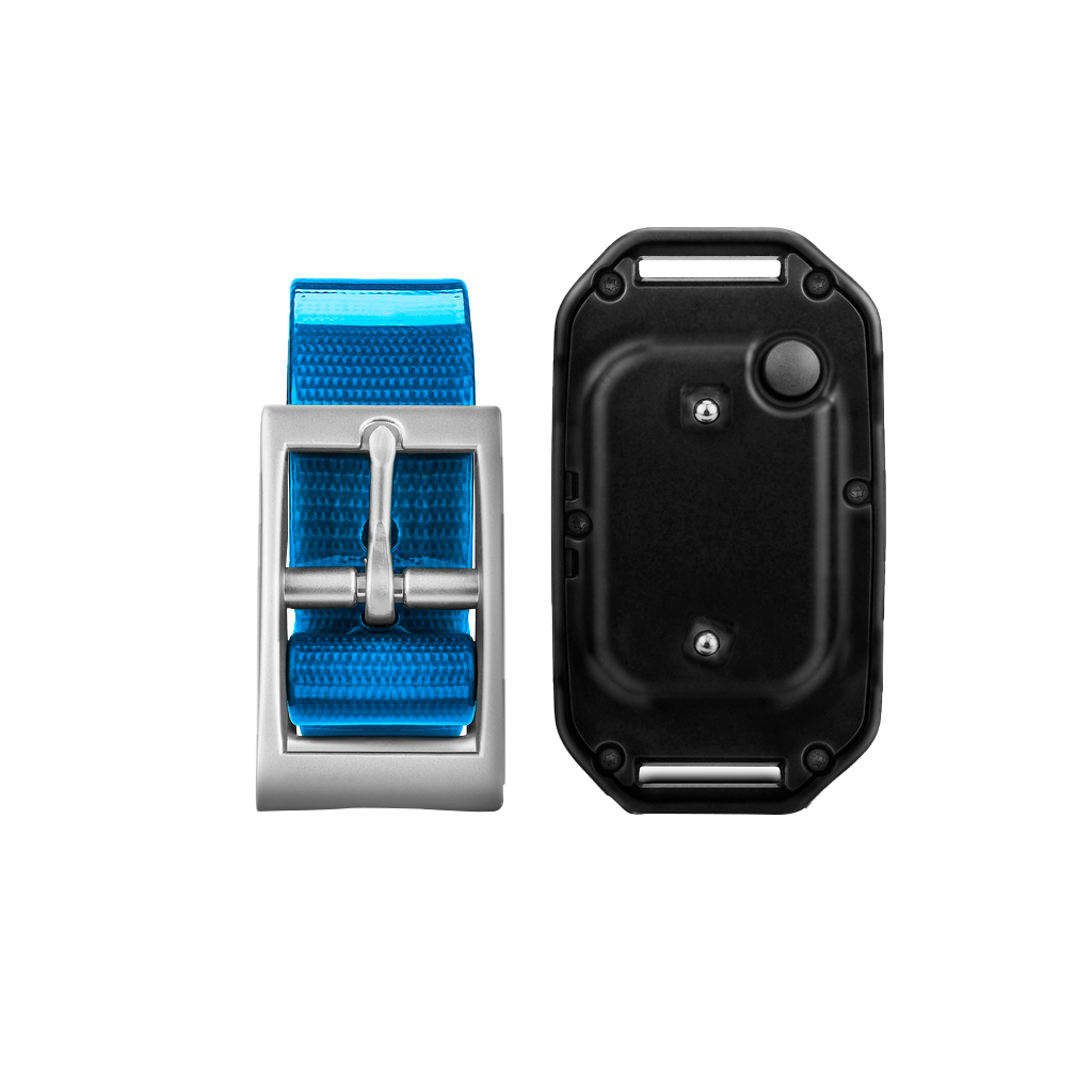 PT 10 Dog Device by Garmin with blue collar strap, two-piece set