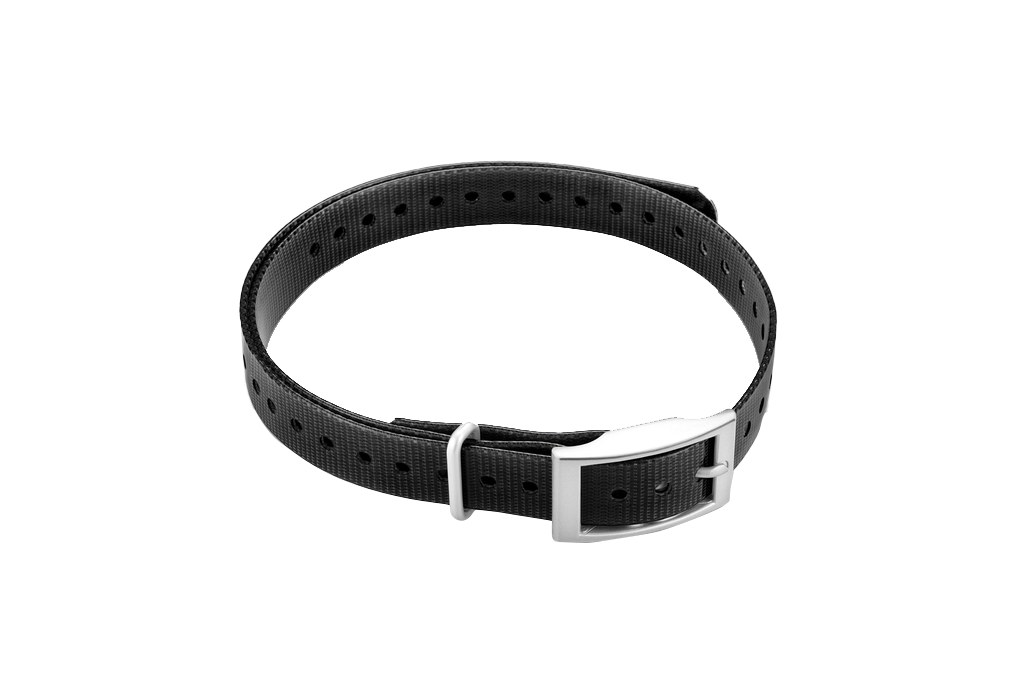Garmin 3/4-inch collar strap, black with square buckle (010-11870-00)