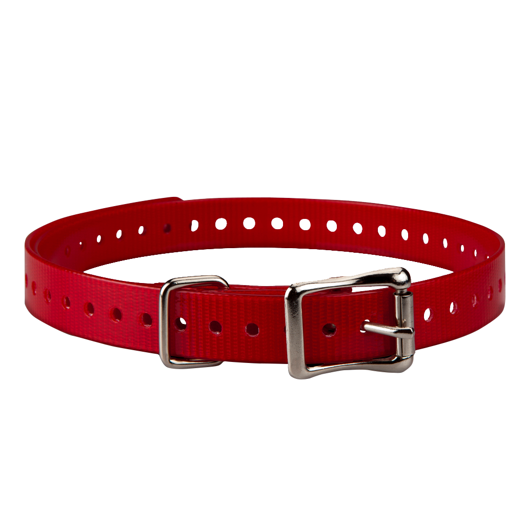 Garmin 3/4-inch red collar strap with square silver buckle
