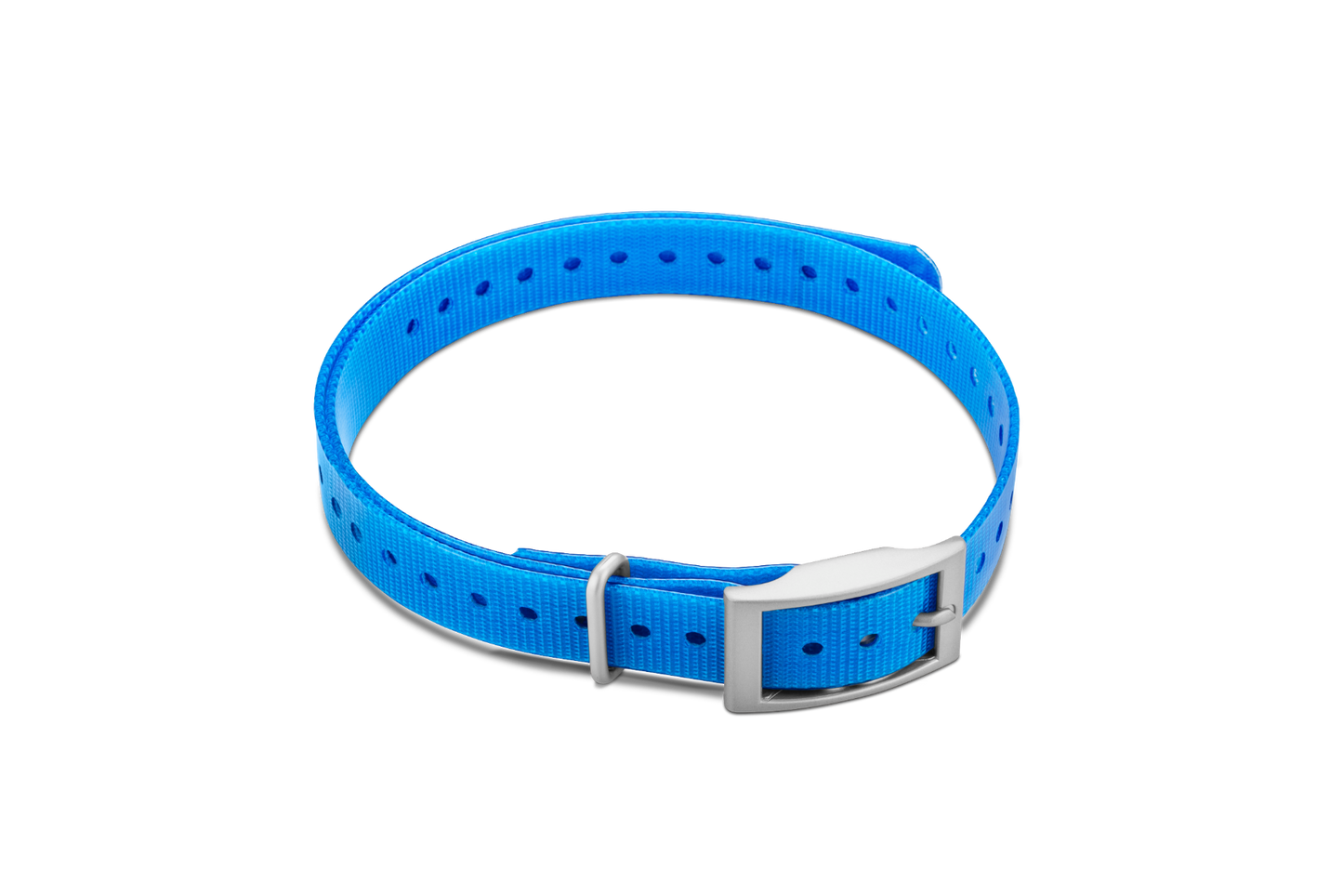 Garmin blue 3/4-inch pet collar strap with square buckle (010-11870-06)