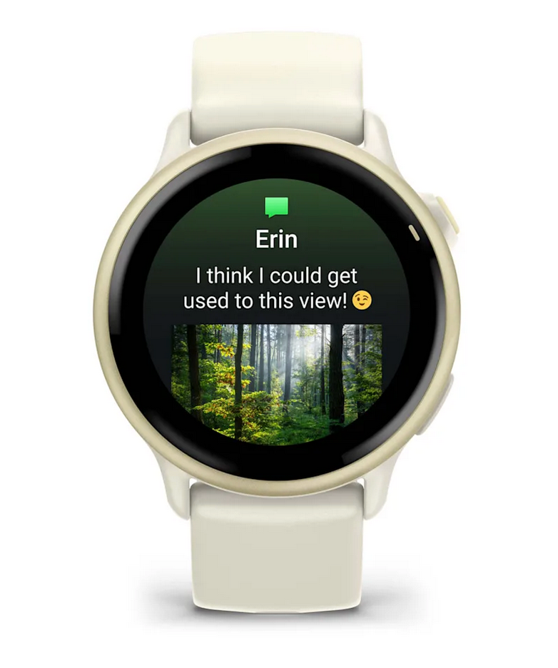 Garmin Vivoactive 6, Lunar Gold with Bone Band (010-02985-01) by Garmin