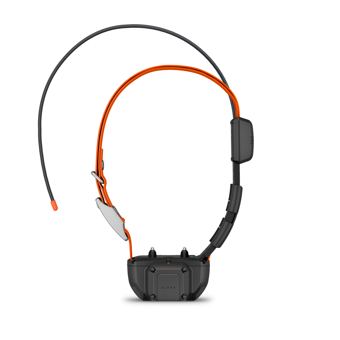 Garmin Alpha TT 25 dog collar with tracking beeper; orange strap, black GPS unit.