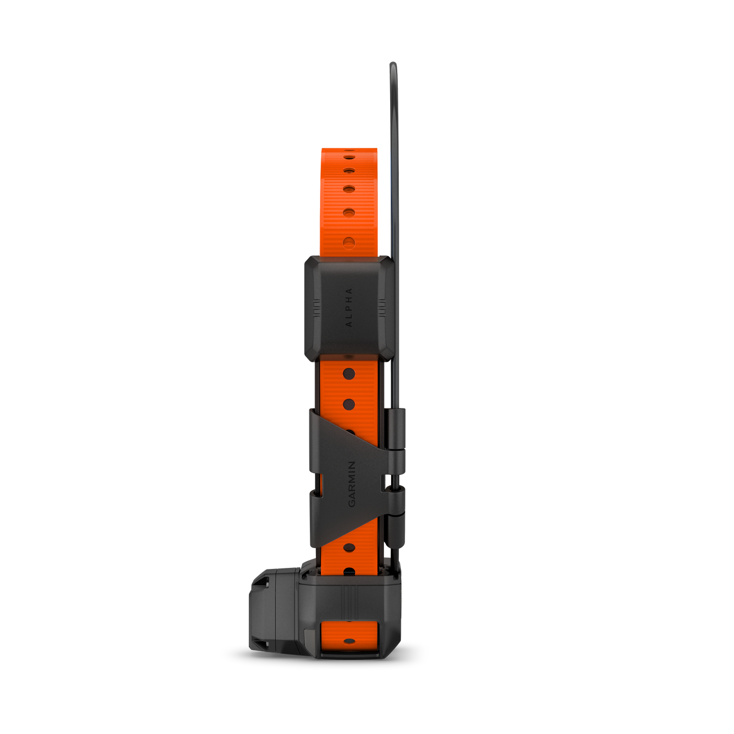 Garmin Alpha TT 25 dog collar with orange strap and tracking beeper.