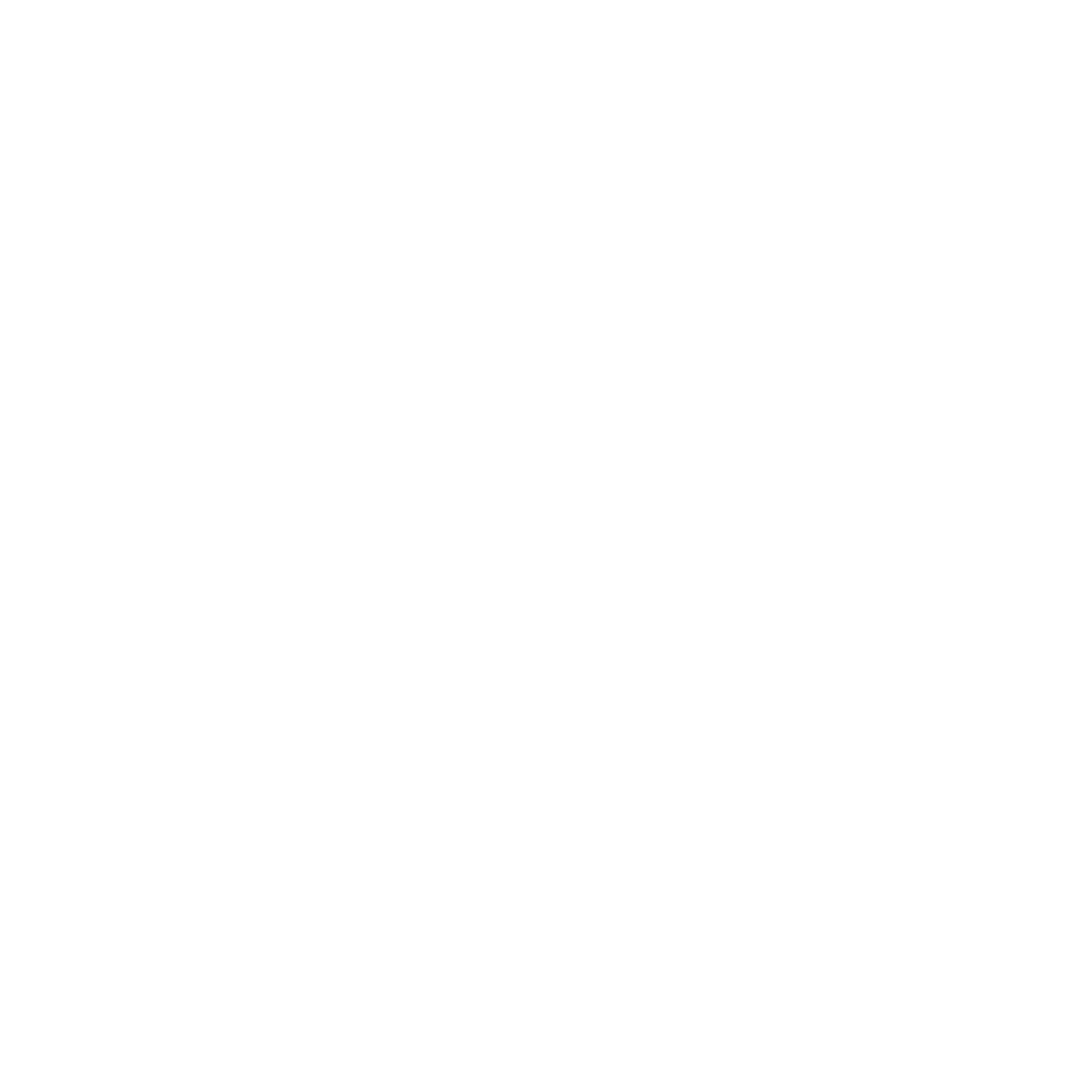 White background with a bold black banner reading AUTHORIZED DEALER SINCE 2011 across the bottom