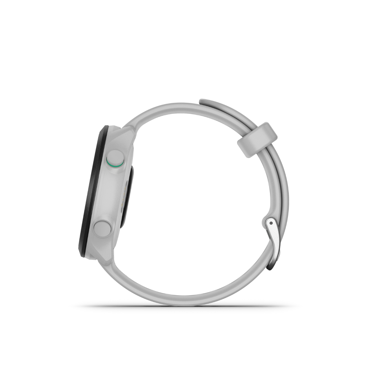 Garmin Forerunner 55, White, GPS Fitness Smartwatch (Garmin Certified Refurbished) by Garmin