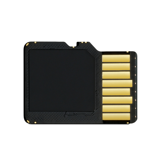 Garmin 8 GB microSD Card with SD Adapter (010-10683-06) by Garmin