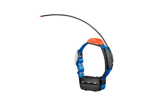 Garmin Astro T5, Track and Train Dog Collar (010-01041-70) by Garmin