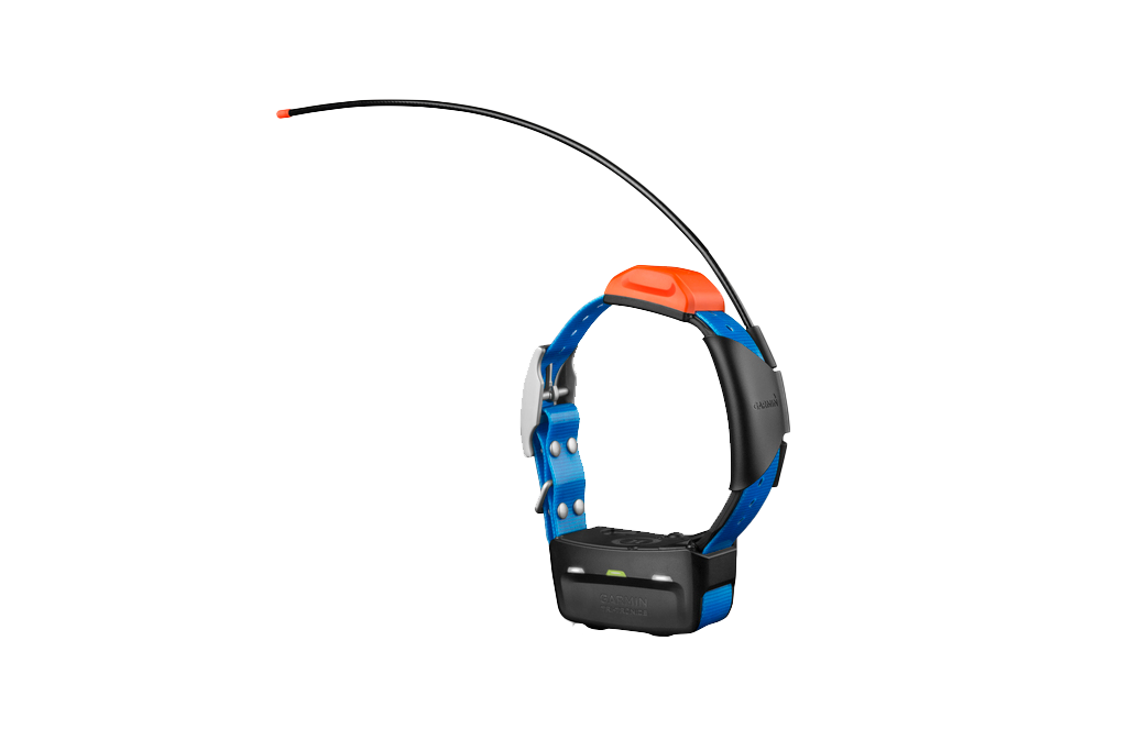 Garmin Astro T5 tracking/training dog collar with blue strap and orange antenna