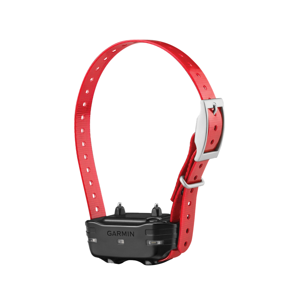Garmin PT 10 dog device with red collar strap for hunting dogs