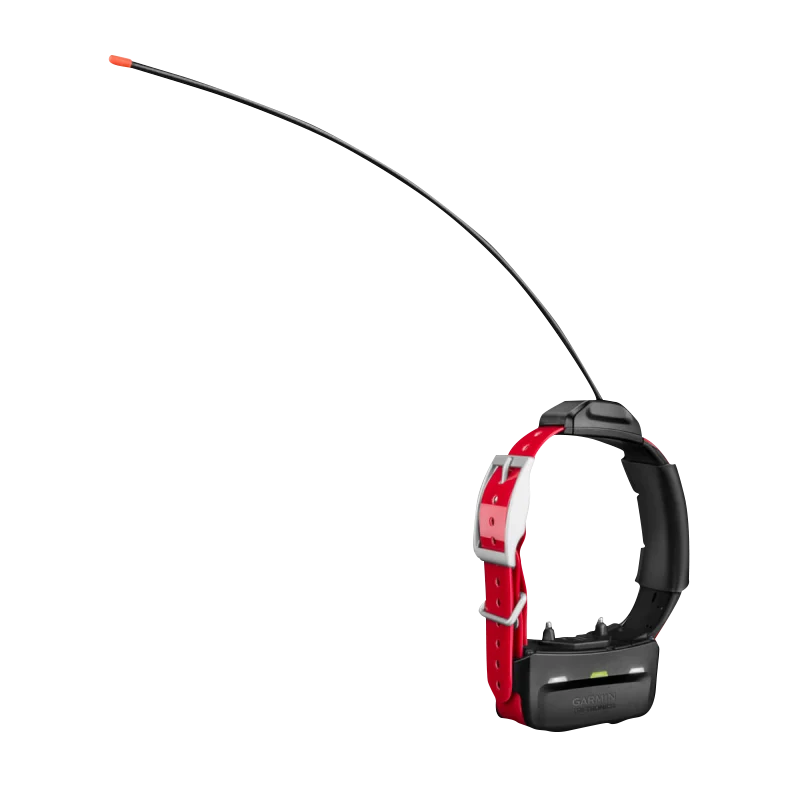 Garmin TT 15X dog collar with red strap and black tracking/training unit.