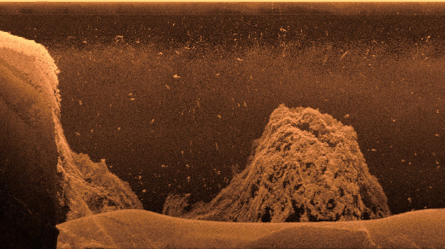 Garmin Ultra HD Scanning Sonar System by Garmin