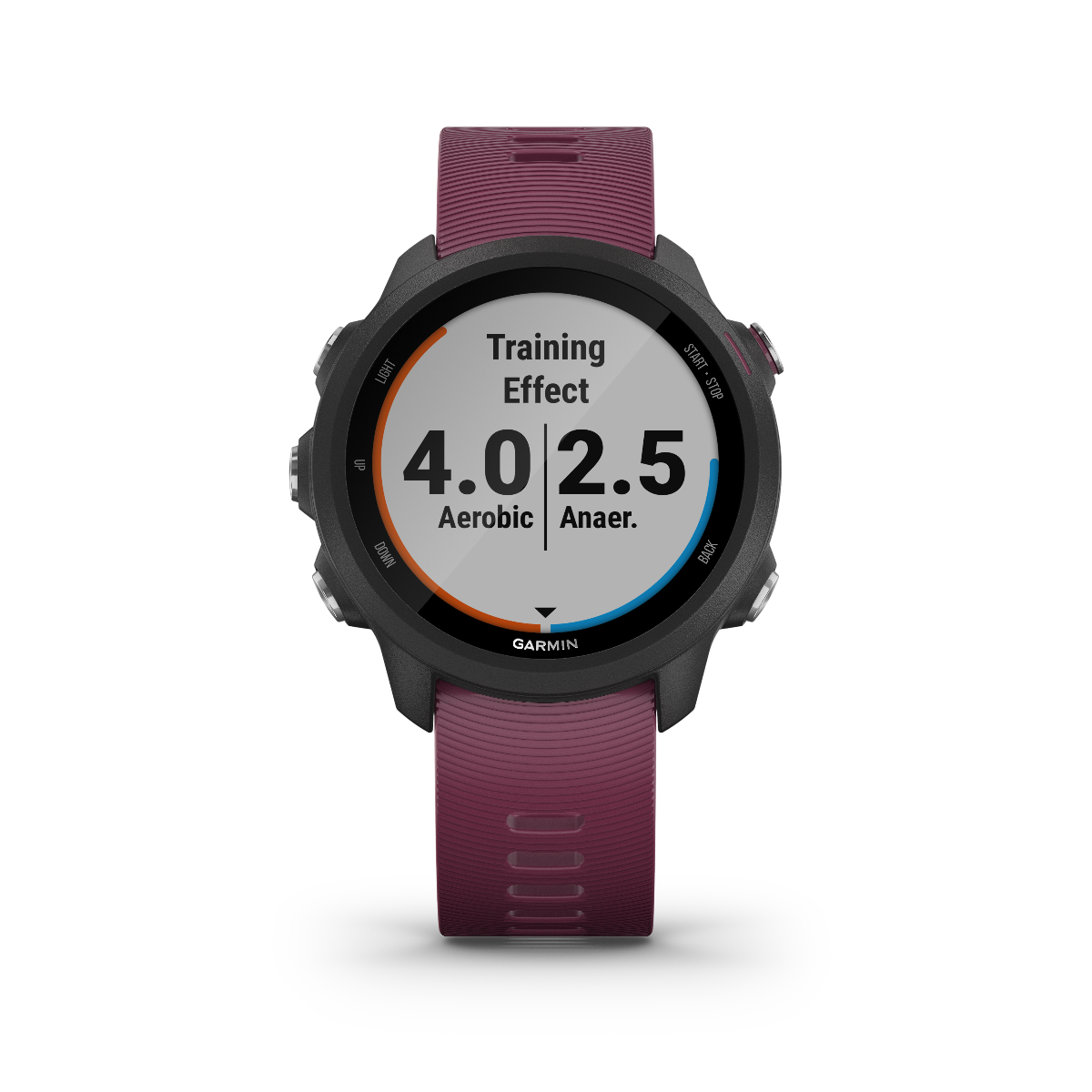 Garmin Forerunner 245 Berry GPS smartwatch with burgundy strap
