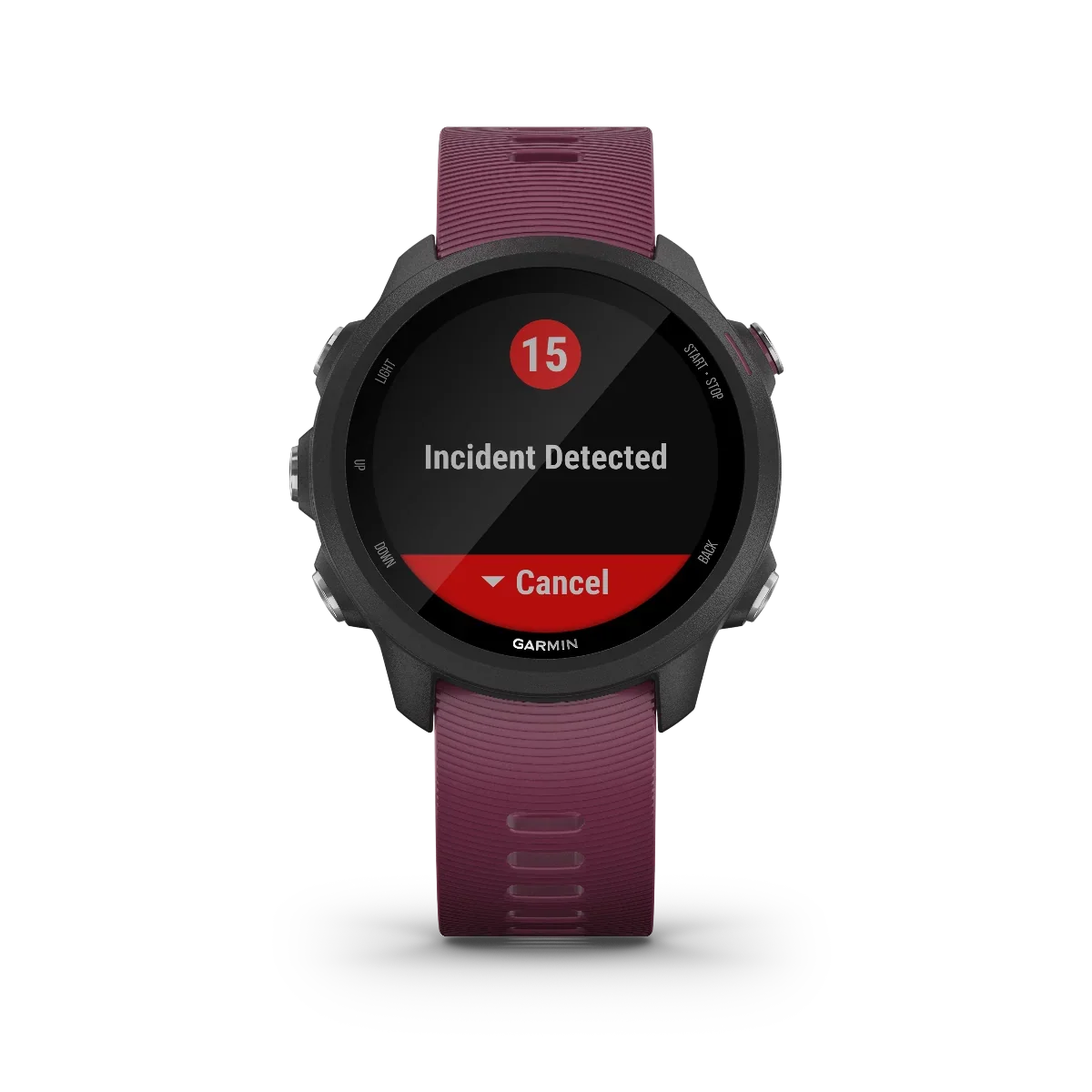 Garmin Forerunner 245 Berry smartwatch with burgundy band