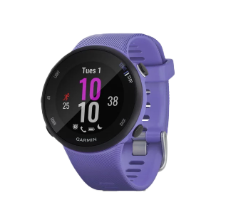 Garmin Forerunner 45S - Iris (010-02156-01) by Garmin
