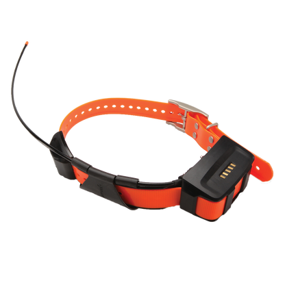 Garmin Alpha 100 & TT15 Dog Collar Bundle Handheld & Collar (010-01041-50)