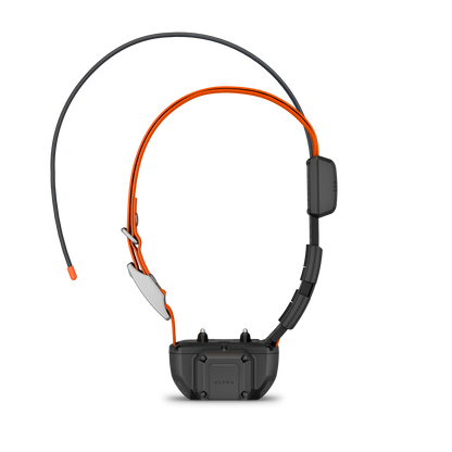 Garmin Alpha TT 25 Dog Collar w/ Tracking Beeper (010-03383-20)
