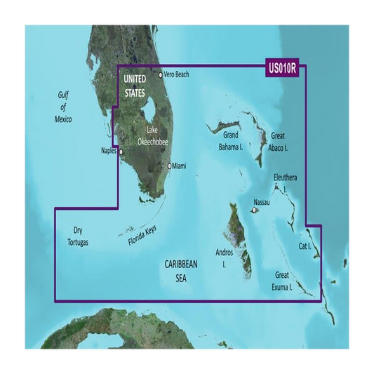 Garmin U.S., South Florida and North Bahamas Coastal Charts BlueChart g3 Vision | VUS010R | microSD/SD by Garmin