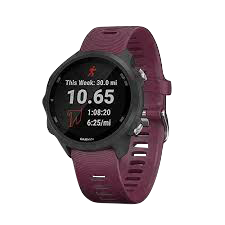 Garmin Forerunner 245, Berry, Premium Fitness GPS Smartwatch for Runners (Garmin Certified Refurbished)