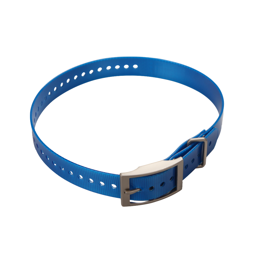Garmin 1-inch Collar Strap, Blue with Square Buckle (010-11892-04)