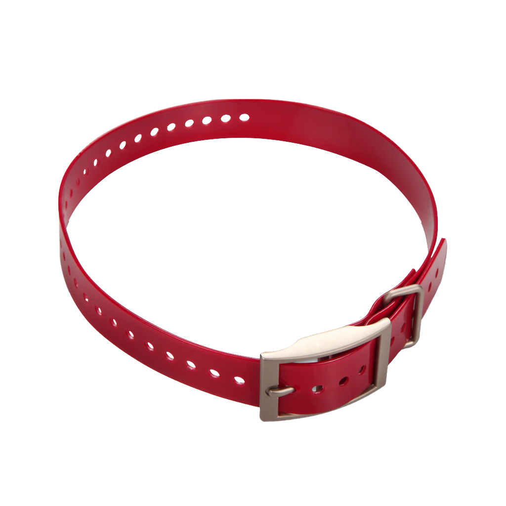 Garmin 1-inch Collar Strap, Red with Square Buckle (010-11892-02)