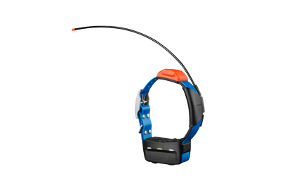 Garmin Astro T5, Track and Train Dog Collar (010-01041-70)