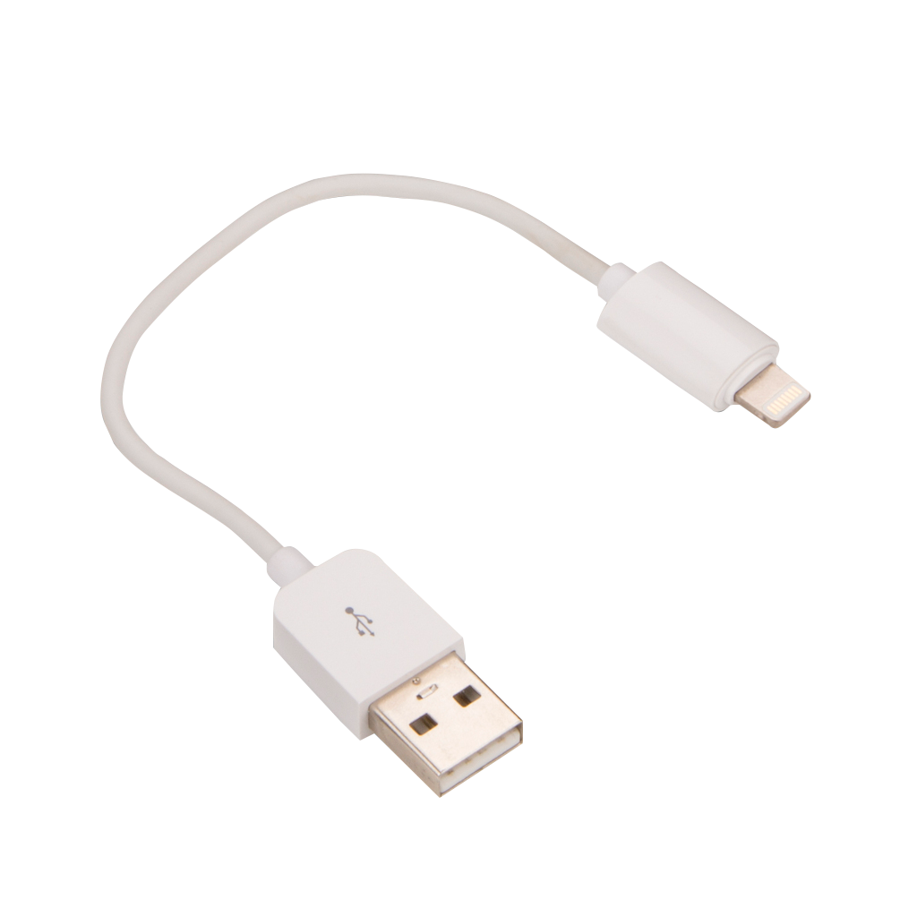 Garmin USB Type-A to Apple Lightning Adapter Cable