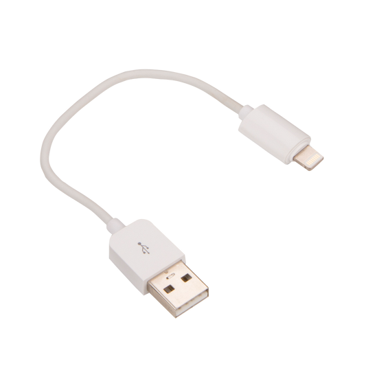 Garmin USB Type-A to Apple Lightning Adapter Cable by Garmin