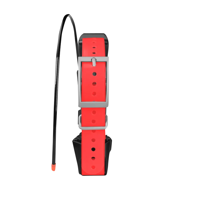 Garmin TT 15X Dog Collar Dog Tracking and Training Collar (010-02755-80)
