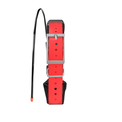 Garmin TT 15X Dog Collar Dog Tracking and Training Collar (010-02755-80)