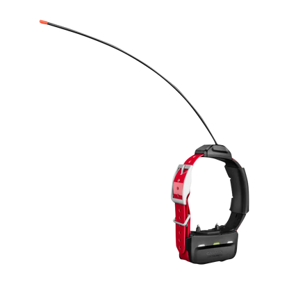 Garmin TT 15X Dog Collar Dog Tracking and Training Collar (010-02755-80)
