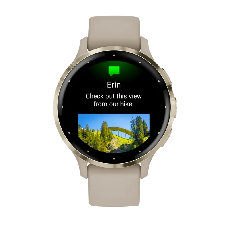 Garmin Venu 3S, lunette en acier inoxydable doré souple de 41 mm avec boîtier gris français et bracelet en silicone (010-02785-02)