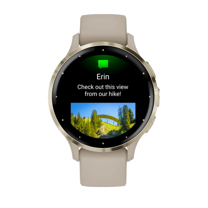 Garmin Venu 3S, lunette en acier inoxydable doré souple de 41 mm avec boîtier gris français et bracelet en silicone (010-02785-02)