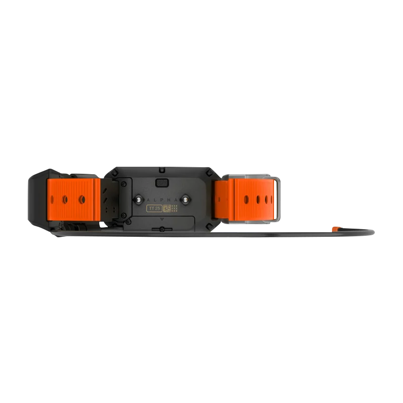 Garmin Alpha TT 25 Dog Collar, GPS Dog Tracking and Training Collar (010-02447-20)