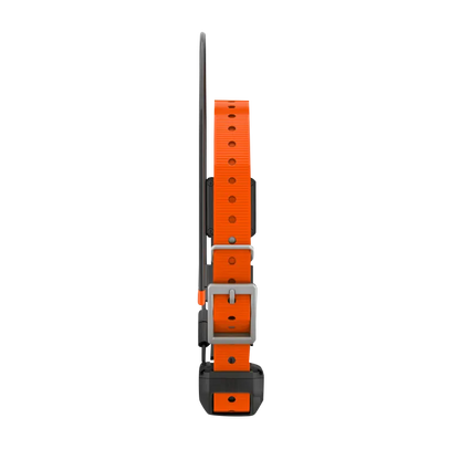 Garmin Alpha TT 25 Dog Collar, GPS Dog Tracking and Training Collar (010-02447-20)