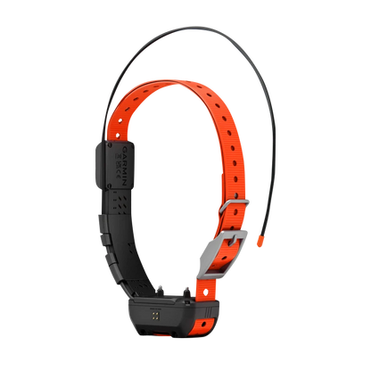 Garmin Alpha TT 25 Dog Collar, GPS Dog Tracking and Training Collar (010-02447-20)