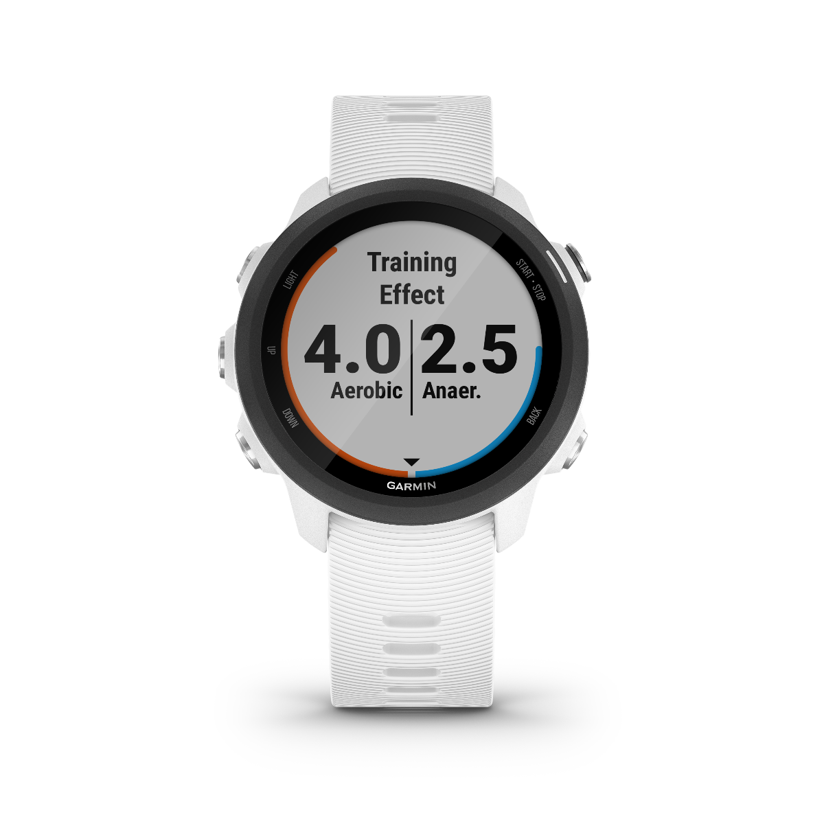 Garmin Forerunner 245 Music, White, Premium Fitness GPS Smartwatch for Runners (010-02120-21)