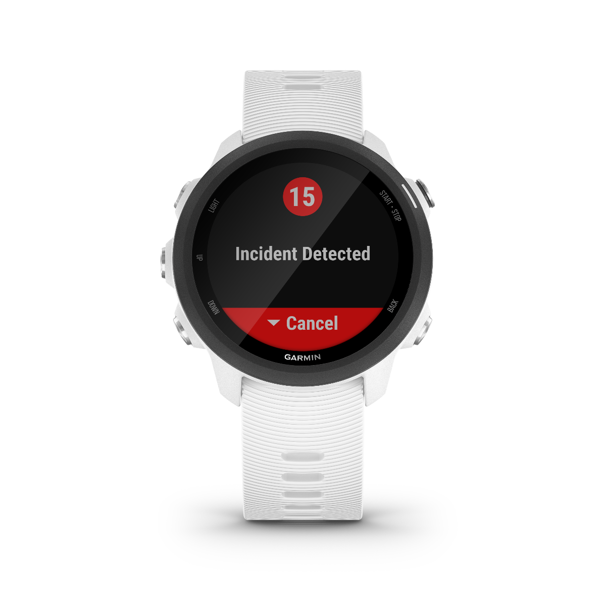 Garmin Forerunner 245 Music, White, Premium Fitness GPS Smartwatch for Runners (010-02120-21)