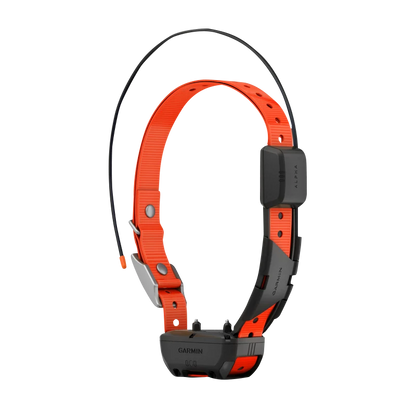 Garmin Alpha TT 25 Dog Collar, GPS Dog Tracking and Training Collar (010-02447-20)