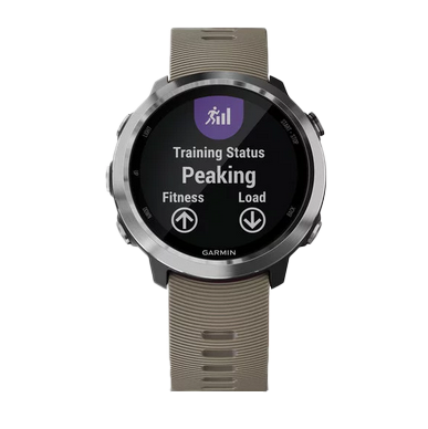 Garmin Forerunner 645 - Sandstone (010-01863-01)