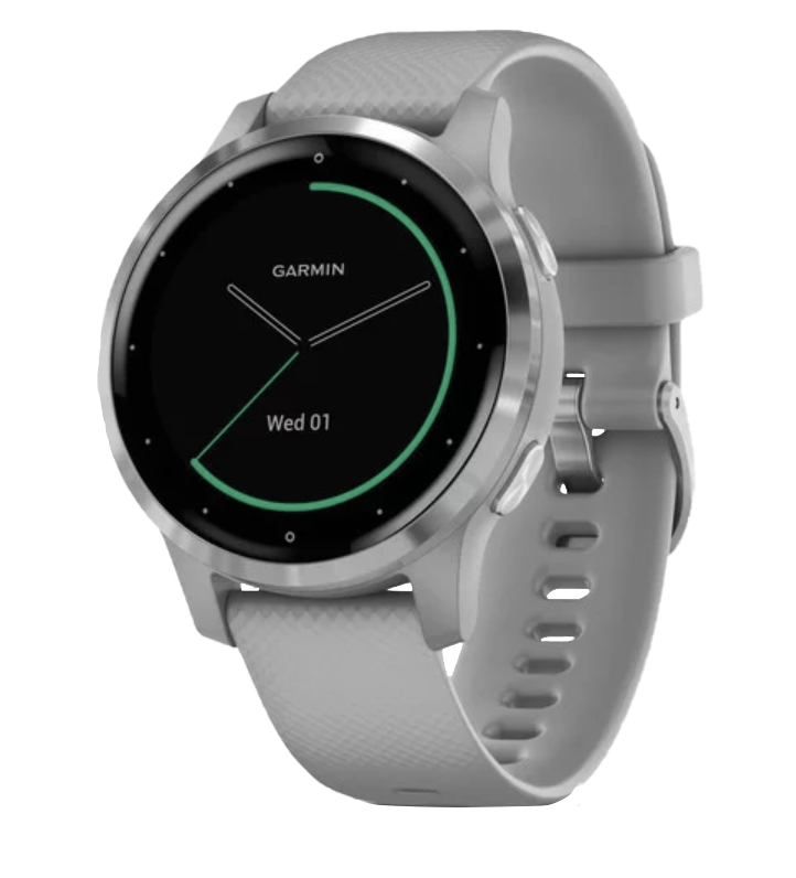 Garmin Vivoactive 4S - Silver with Gray Band (010-02172-01)