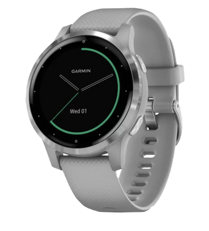 Garmin Vivoactive 4S - Silver with Gray Band (010-02172-01)