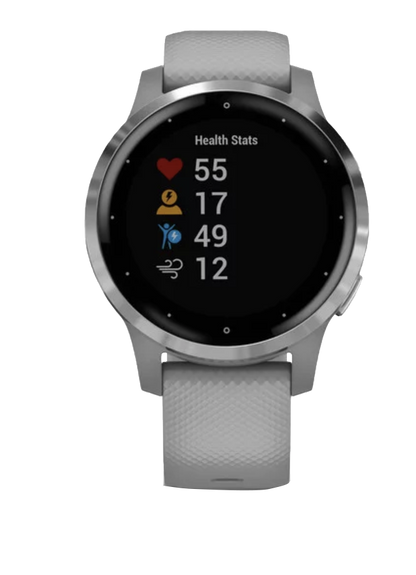 Garmin Vivoactive 4S - Silver with Gray Band (010-02172-01)