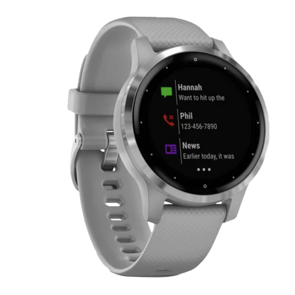 Garmin Vivoactive 4S - Silver with Gray Band (010-02172-01)