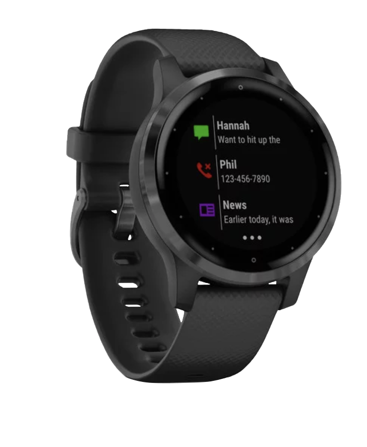 Garmin Vivoactive 4S Slate with Black Band (010-02172-11)