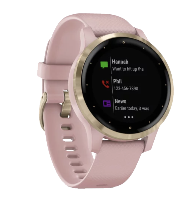 Garmin Vivoactive 4S - Light Gold with Dust Rose Band (010-02172-31)