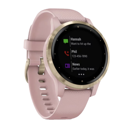 Garmin Vivoactive 4S - Light Gold with Dust Rose Band (010-02172-31)