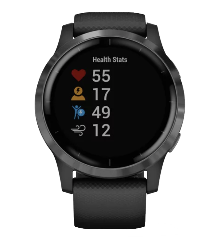 Garmin Vivoactive 4 - Slate with Black Band (010-02174-11)